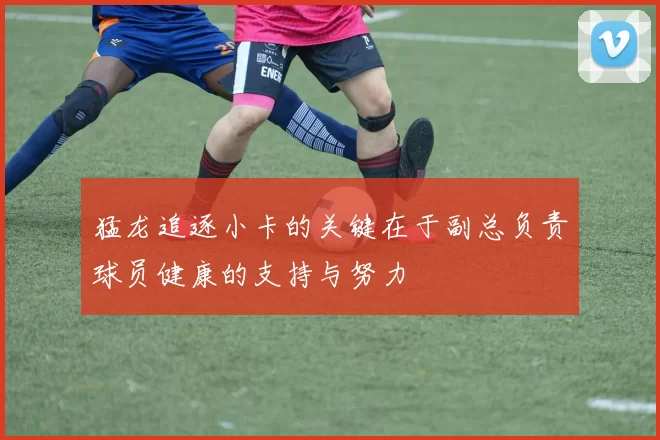 猛龙追逐小卡的关键在于副总负责球员健康的支持与努力
